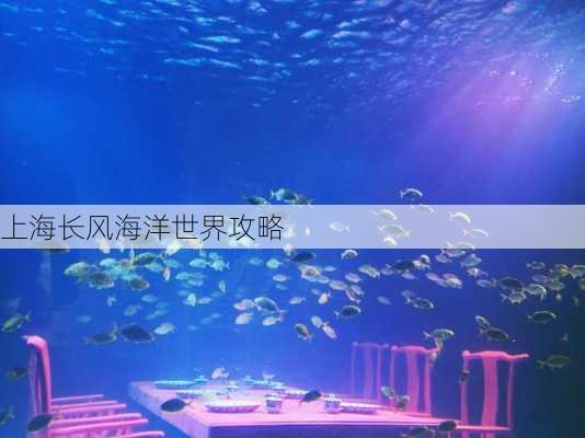 上海长风海洋世界攻略