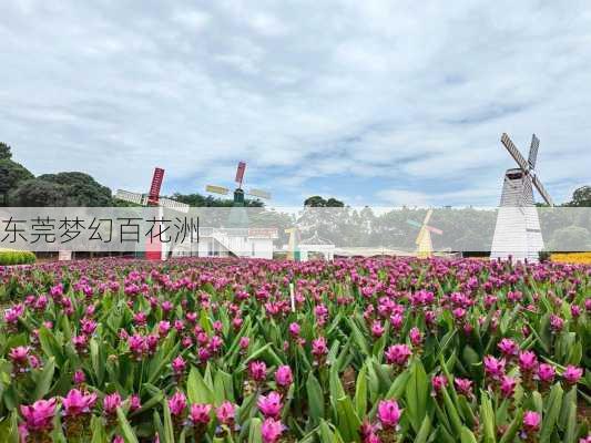 东莞梦幻百花洲