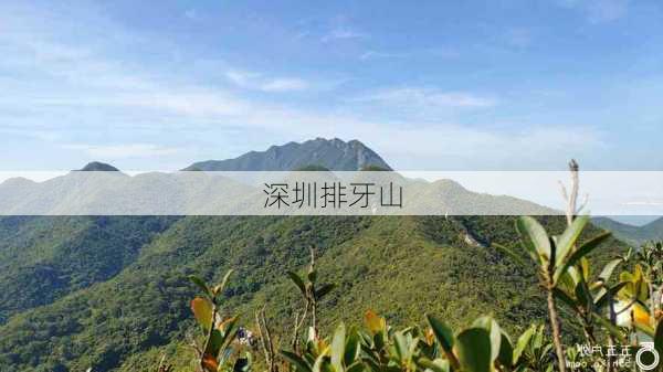 深圳排牙山