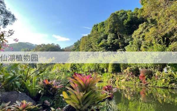 仙湖植物园