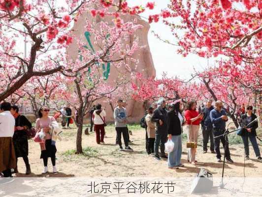 北京平谷桃花节