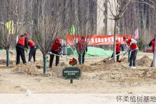 怀柔植树基地