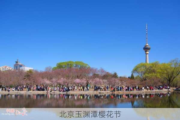 北京玉渊潭樱花节