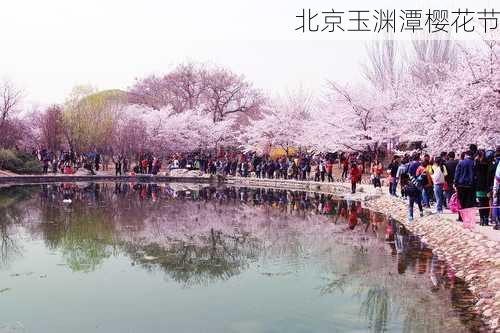 北京玉渊潭樱花节