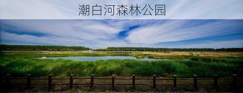 潮白河森林公园