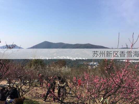 苏州新区香雪海