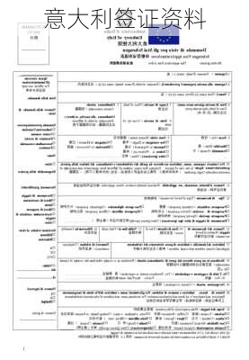 意大利签证资料