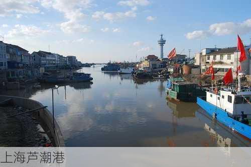 上海芦潮港