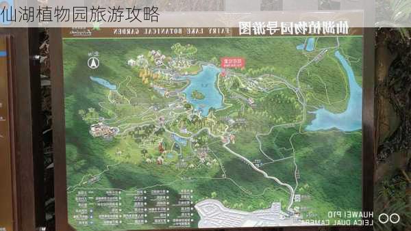 仙湖植物园旅游攻略