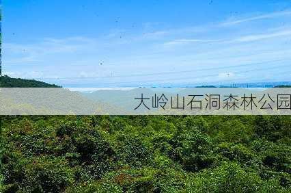 大岭山石洞森林公园