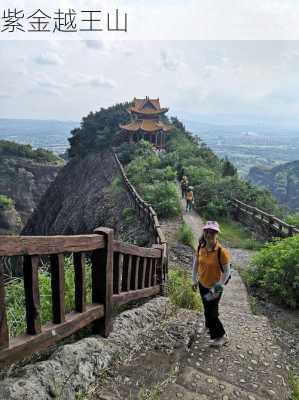 紫金越王山