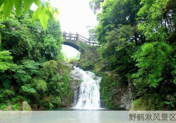 野鹤湫风景区