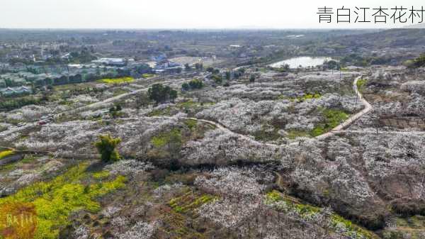 青白江杏花村