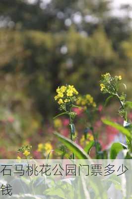 石马桃花公园门票多少钱