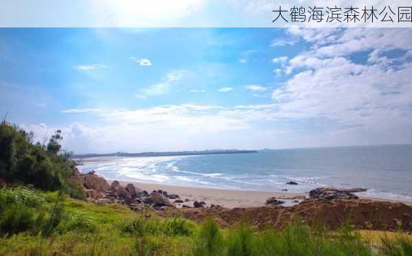 大鹤海滨森林公园