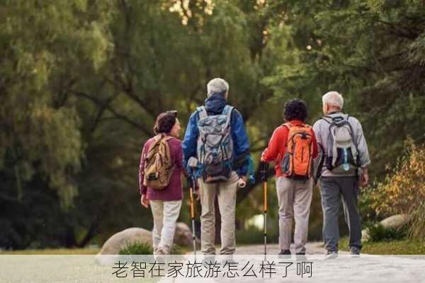 老智在家旅游怎么样了啊