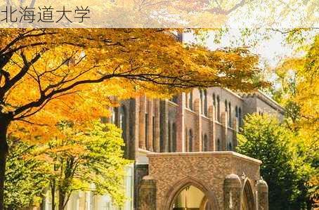 北海道大学