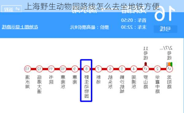 上海野生动物园路线怎么去坐地铁方便