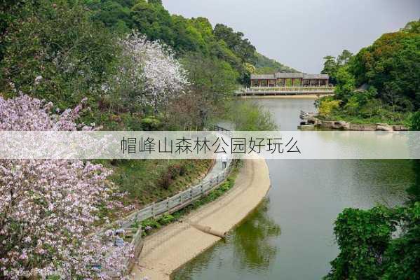 帽峰山森林公园好玩么