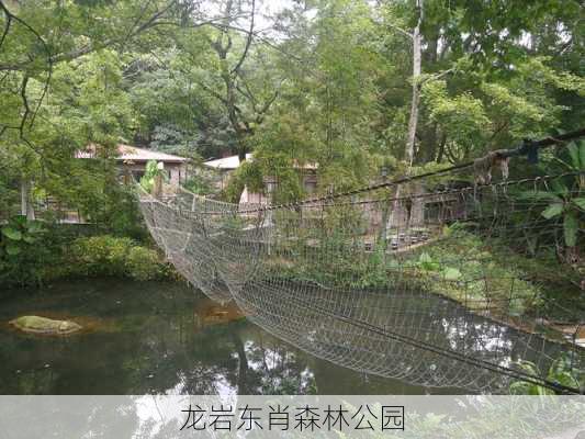 龙岩东肖森林公园