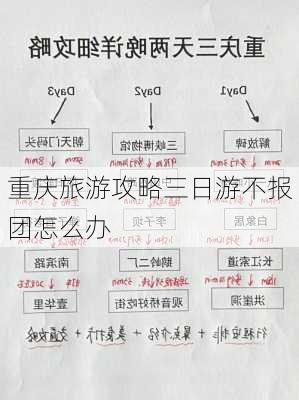 重庆旅游攻略三日游不报团怎么办