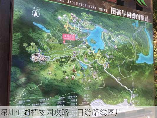 深圳仙湖植物园攻略一日游路线图片