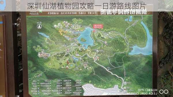 深圳仙湖植物园攻略一日游路线图片