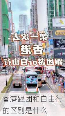 香港跟团和自由行的区别是什么