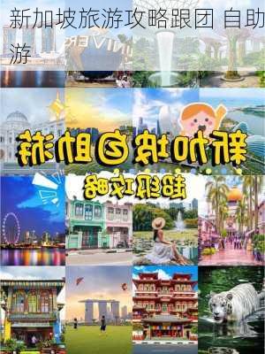 新加坡旅游攻略跟团 自助游