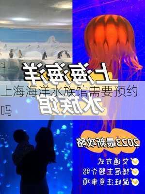 上海海洋水族馆需要预约吗