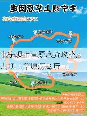 丰宁坝上草原旅游攻略,去坝上草原怎么玩