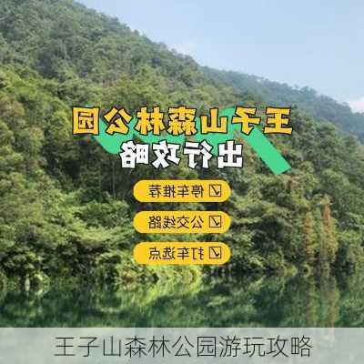 王子山森林公园游玩攻略