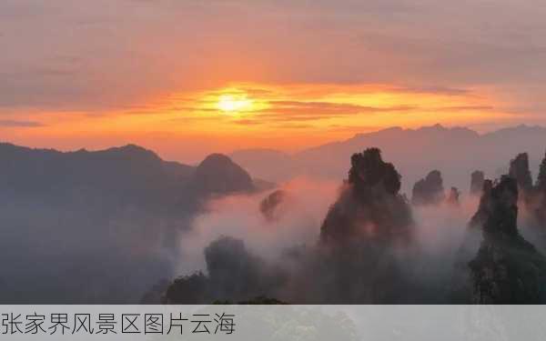 张家界风景区图片云海