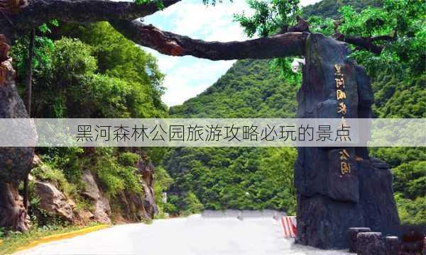 黑河森林公园旅游攻略必玩的景点