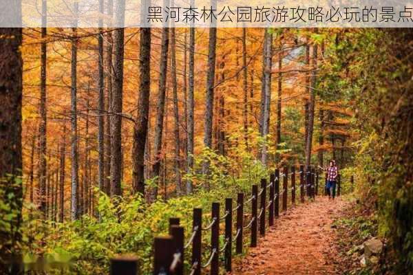 黑河森林公园旅游攻略必玩的景点