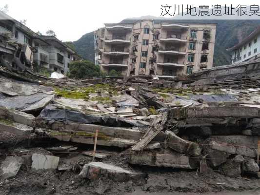 汶川地震遗址很臭