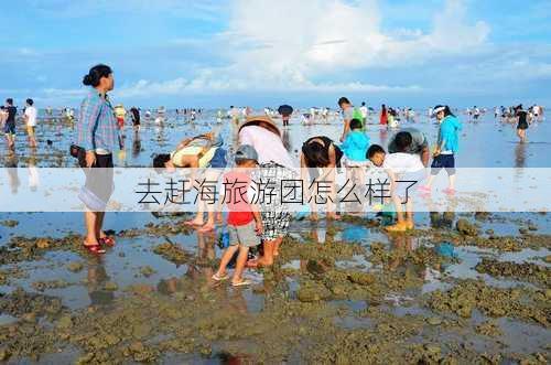 去赶海旅游团怎么样了