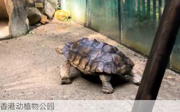 香港动植物公园