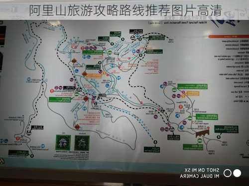 阿里山旅游攻略路线推荐图片高清