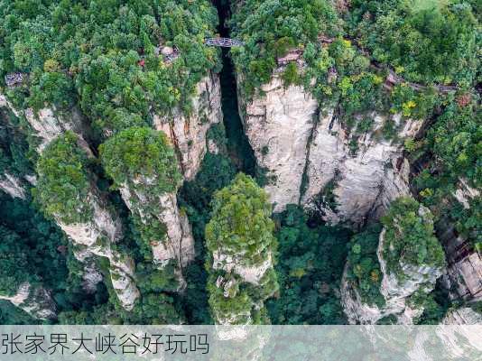 张家界大峡谷好玩吗