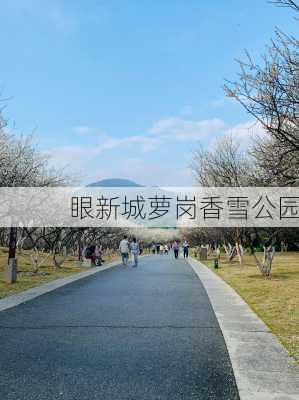 眼新城萝岗香雪公园