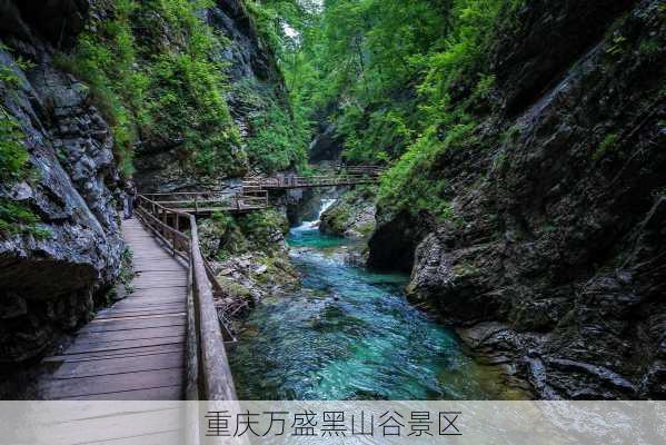 重庆万盛黑山谷景区