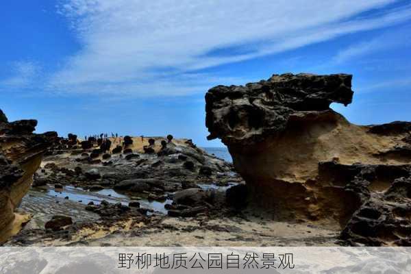 野柳地质公园自然景观