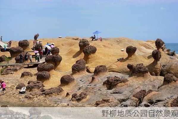 野柳地质公园自然景观