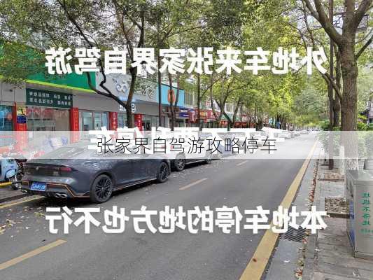 张家界自驾游攻略停车