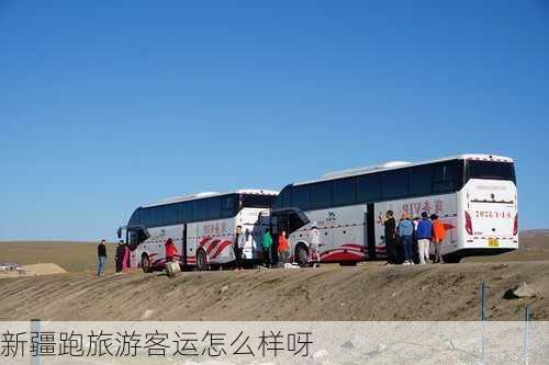 新疆跑旅游客运怎么样呀