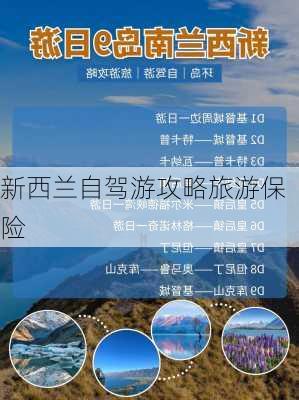 新西兰自驾游攻略旅游保险