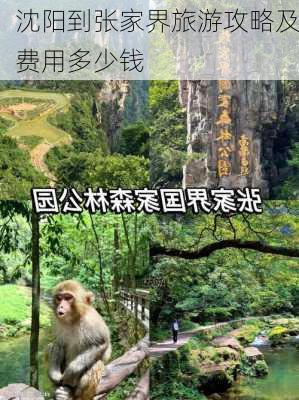 沈阳到张家界旅游攻略及费用多少钱