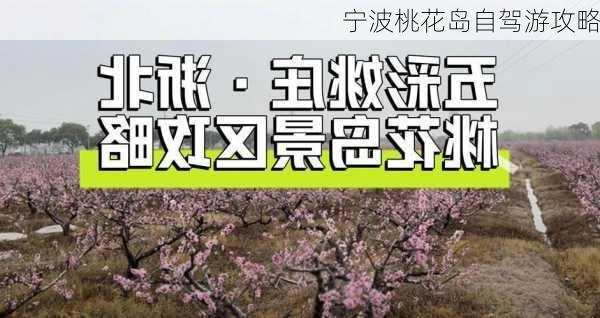 宁波桃花岛自驾游攻略