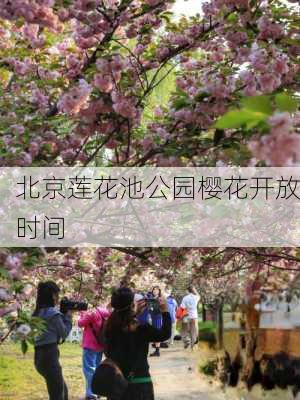 北京莲花池公园樱花开放时间